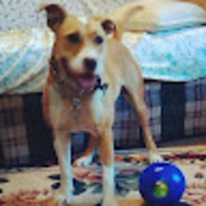 Meet your Posher, Whitney